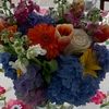 happyshopping86